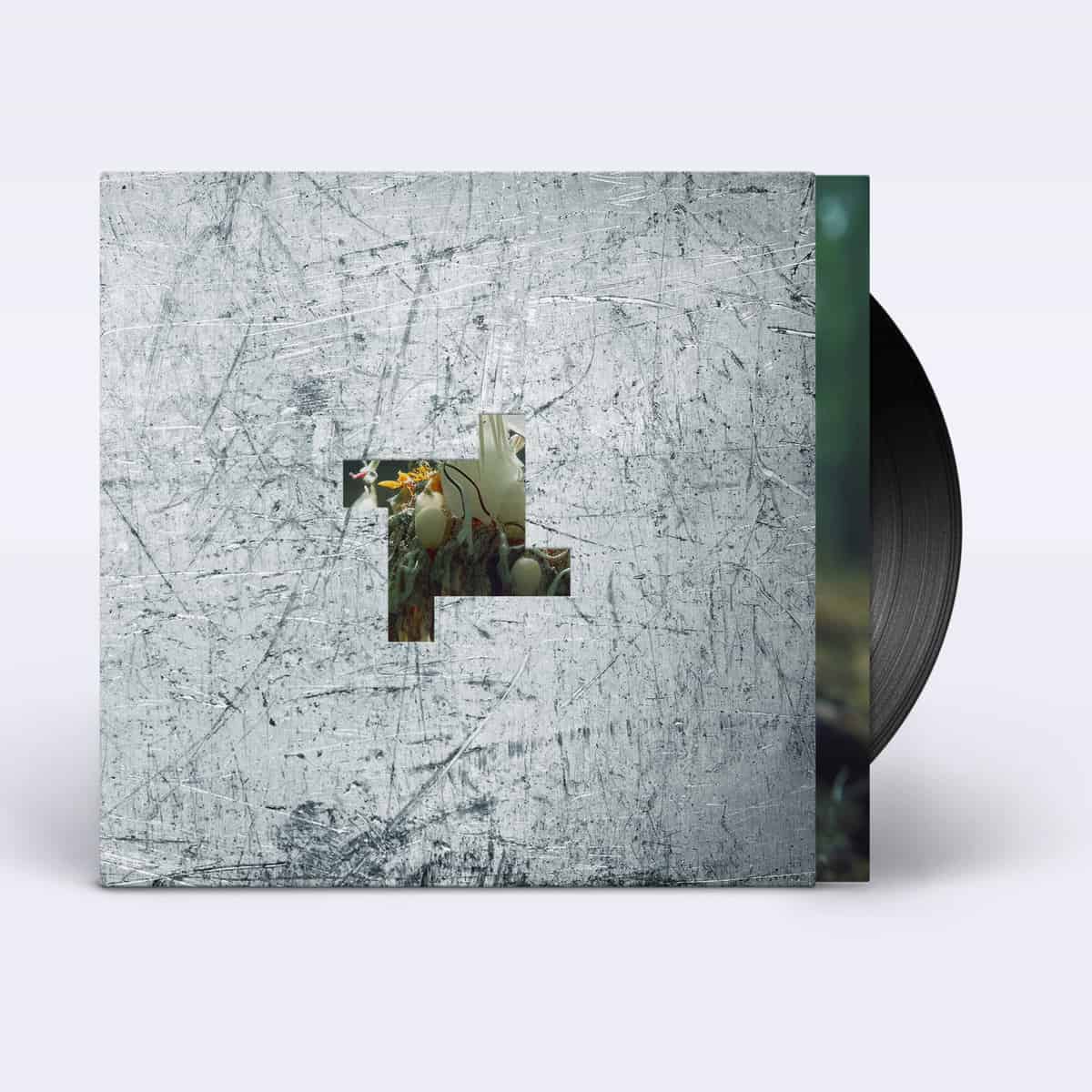 Fabric Records – NEW AFEM MEMBER